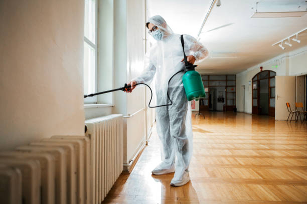Best Local Pest Control Services  in Venice, IL