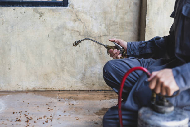 Wasp Removal Services in Venice, IL